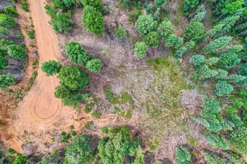 4600 Elk Valley Rd, Divide, CO 80814