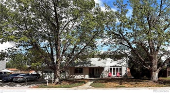 10878 Roseanna Dr, Northglenn, CO 80234