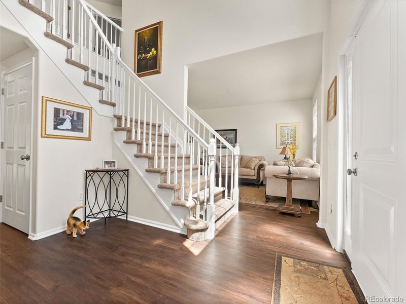 1251 Burlington Dr, Castle Rock, CO 80104