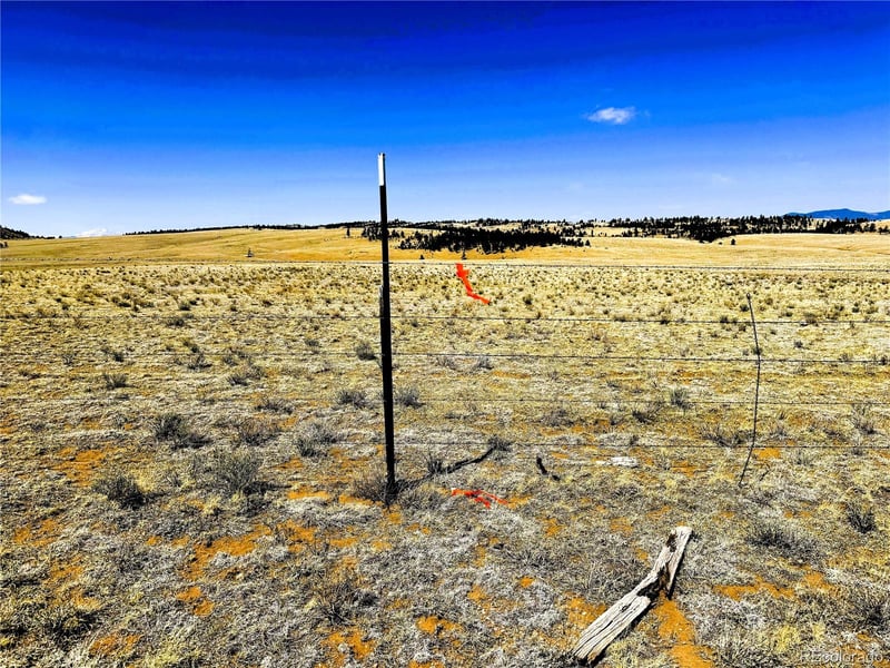 Lot 77 Black Bear Rd, Hartsel, CO 80449