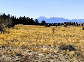 Lot 77 Black Bear Rd, Hartsel, CO 80449
