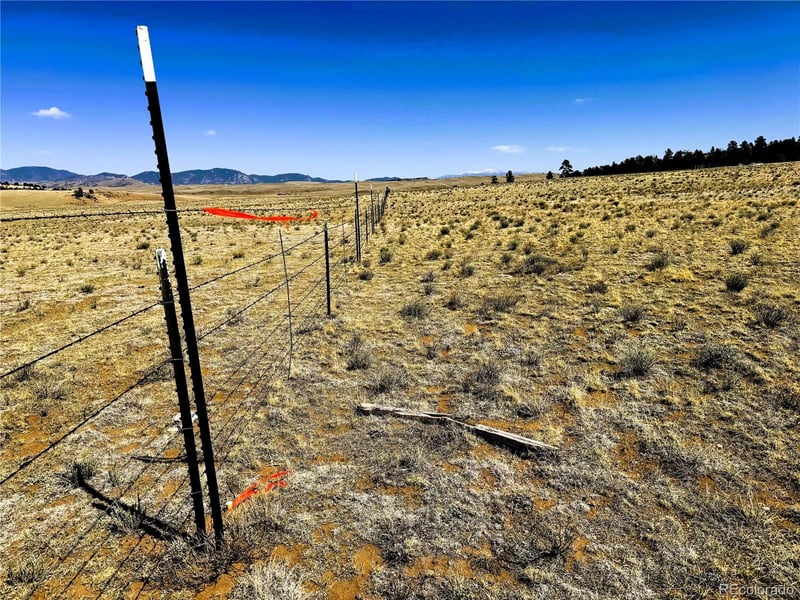 Lot 77 Black Bear Rd, Hartsel, CO 80449