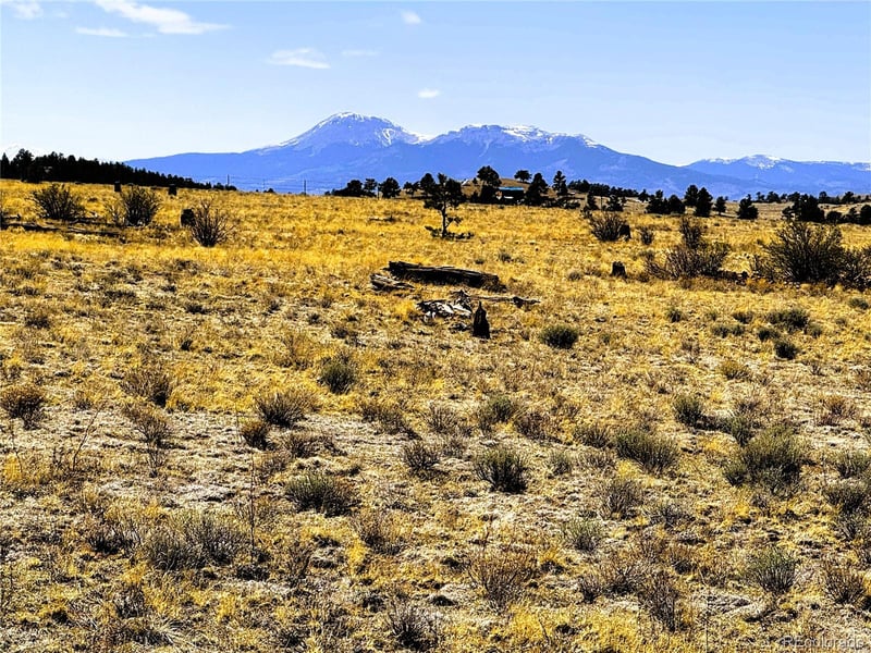 Lot 77 Black Bear Rd, Hartsel, CO 80449