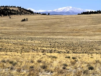Lot 77 Black Bear Rd, Hartsel, CO 80449