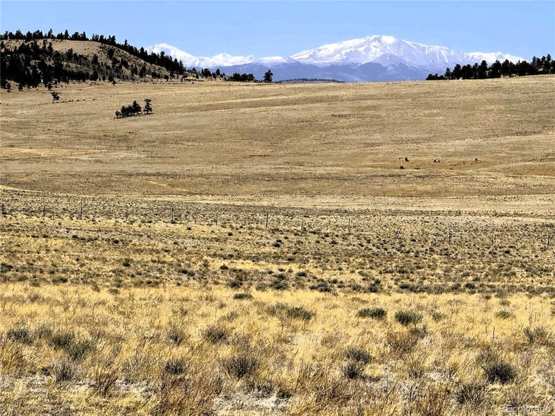 Lot 77 Black Bear Rd, Hartsel, CO 80449