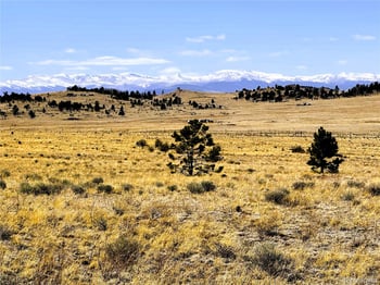 Lot 77 Black Bear Rd, Hartsel, CO 80449