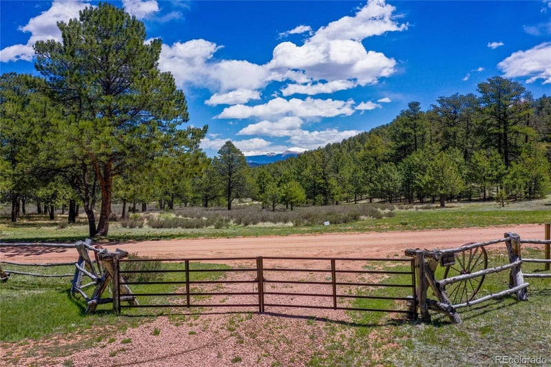 437 Langnis Rd, Guffey, CO 80820
