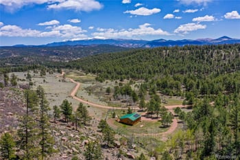 437 Langnis Rd, Guffey, CO 80820