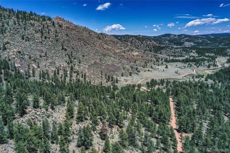 437 Langnis Rd, Guffey, CO 80820