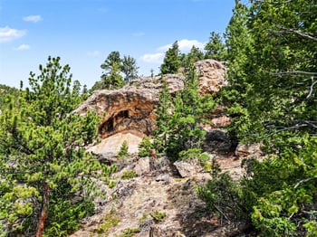 Spruce Ct, Evergreen, CO 80439