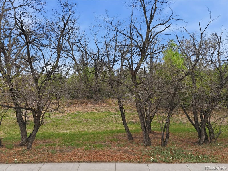 52 St, Arvada, CO 80002