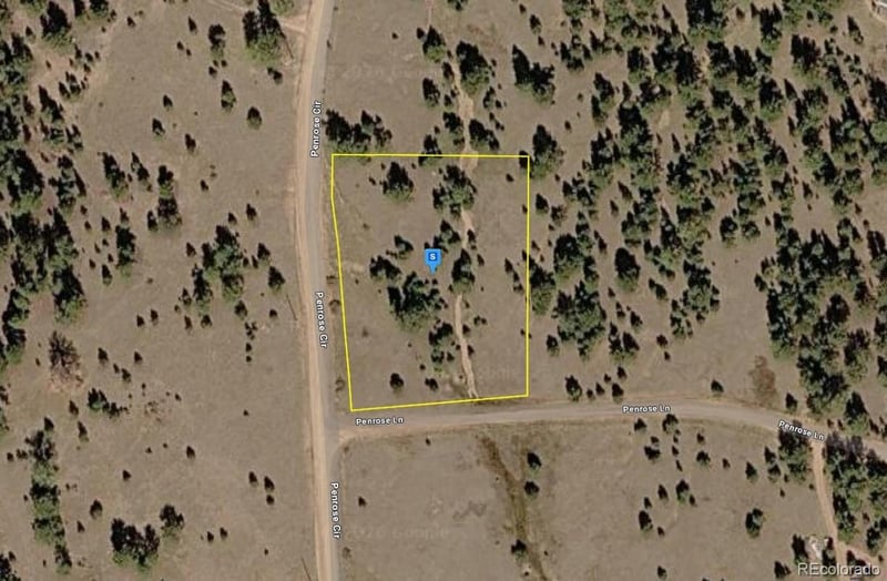 715 Penrose Cir, Florissant, CO 80816