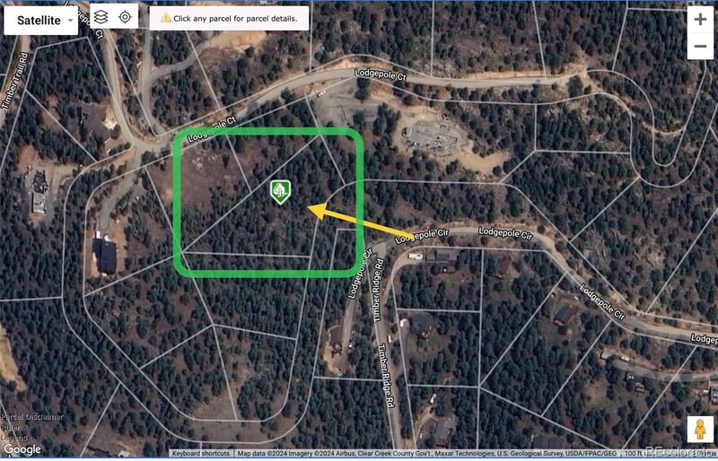 32724 Lodgepole Cir, Evergreen, CO 80439