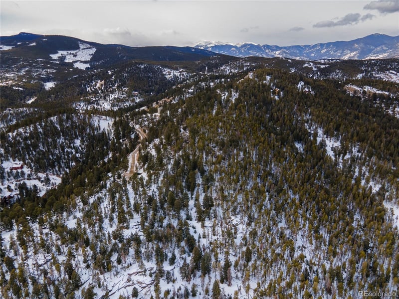 32613 Lodgepole Cir, Evergreen, CO 80439