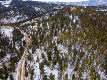 32613 Lodgepole Cir, Evergreen, CO 80439