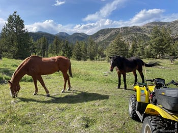 Hemlock Dr, Lyons, CO 80540