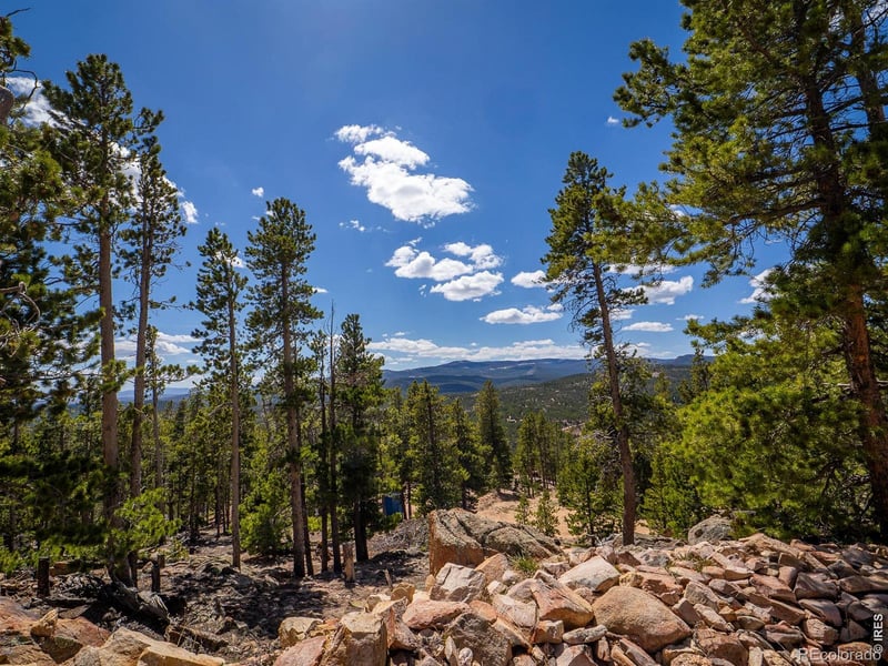 132 Dogrib Ct, Red Feather Lakes, CO 80545