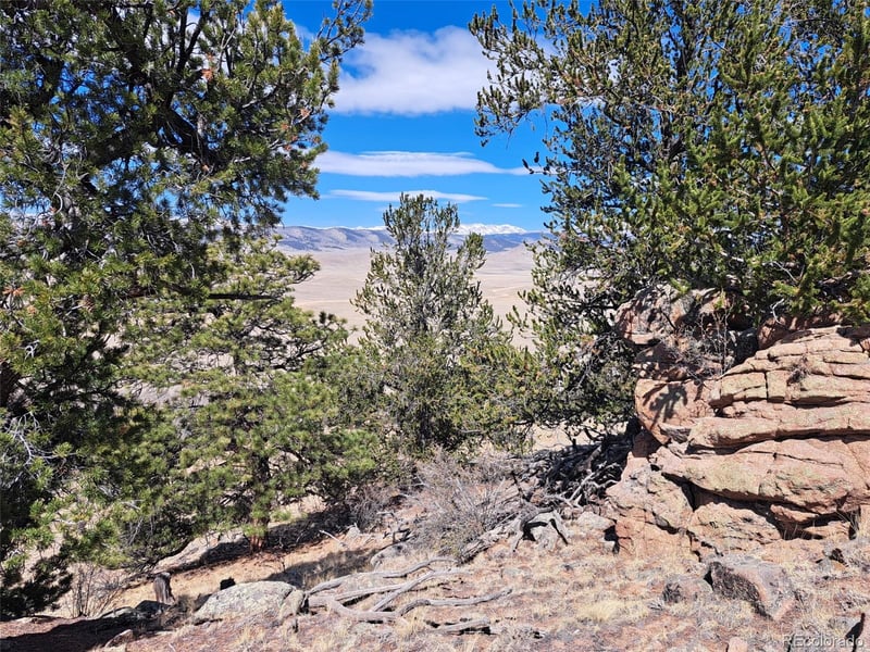 182 Starling Way, Como, CO 80432