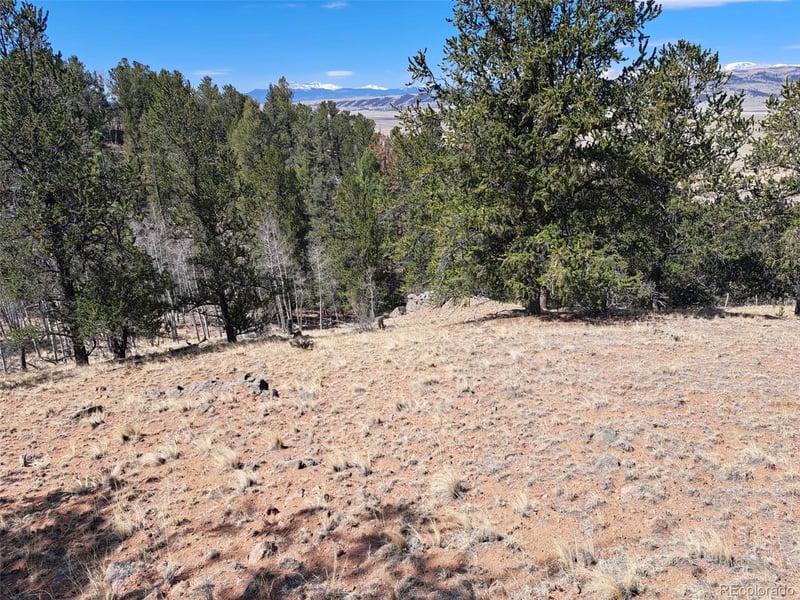 182 Starling Way, Como, CO 80432