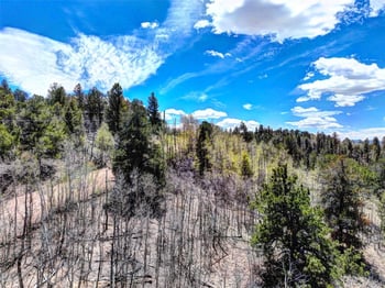 182 Starling Way, Como, CO 80432