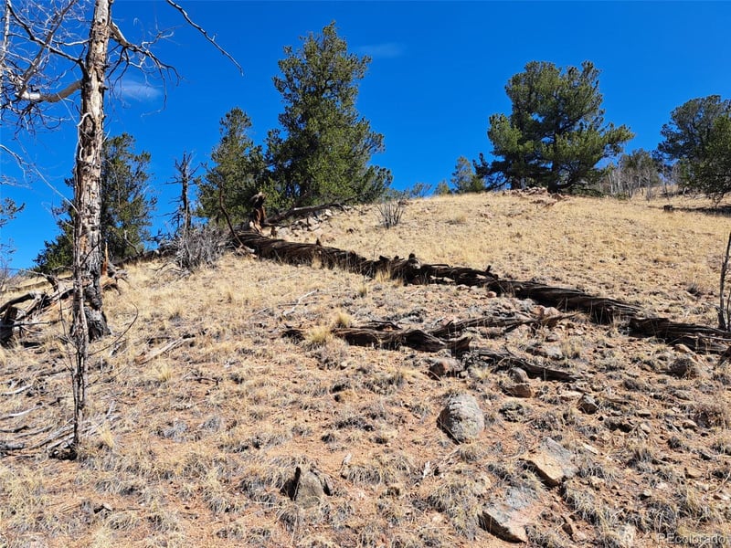 182 Starling Way, Como, CO 80432