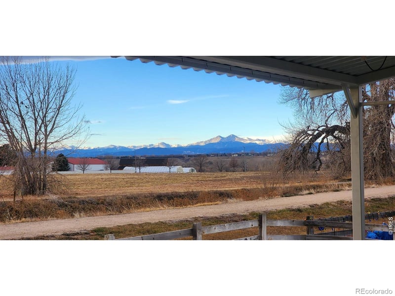 1637 Stoll Dr, Windsor, CO 80550