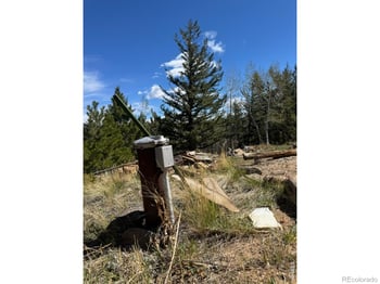 1241 Giant Track Rd, Estes Park, CO 80517