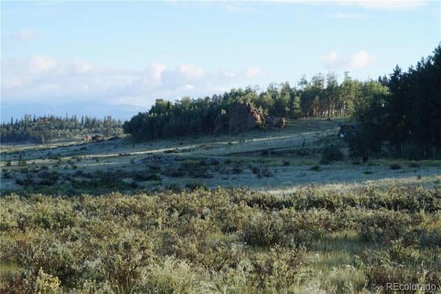 133 Puma Ct, Como, CO 80432