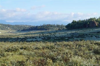 133 Puma Ct, Como, CO 80432