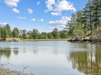 205 Chipmunk Pl, Drake, CO 80515