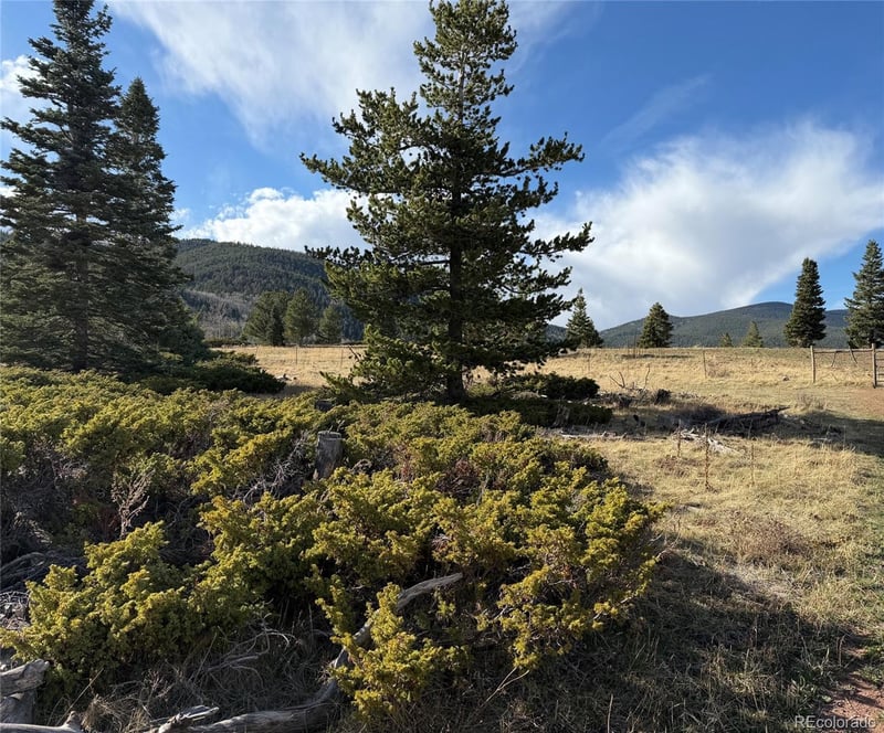 Panadero Loop, Cuchara, CO 81055