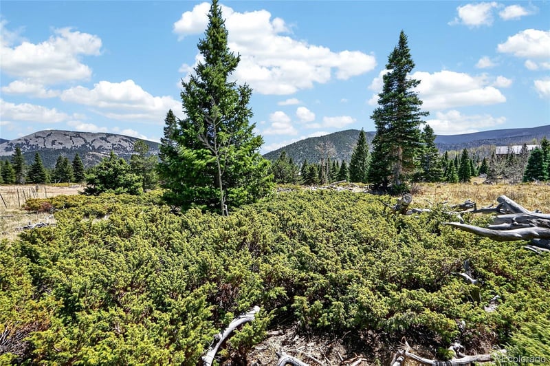 Panadero Loop Lot 17, Cuchara, CO 81055