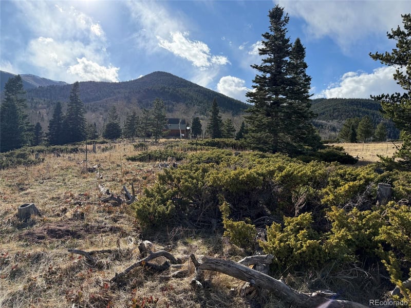 Panadero Loop Lot 17, Cuchara, CO 81055