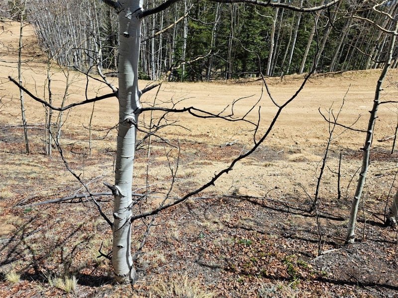 730 Tepee Trl, Como, CO 80432