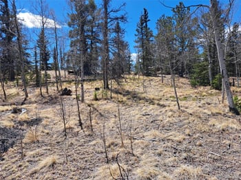 730 Tepee Trl, Como, CO 80432