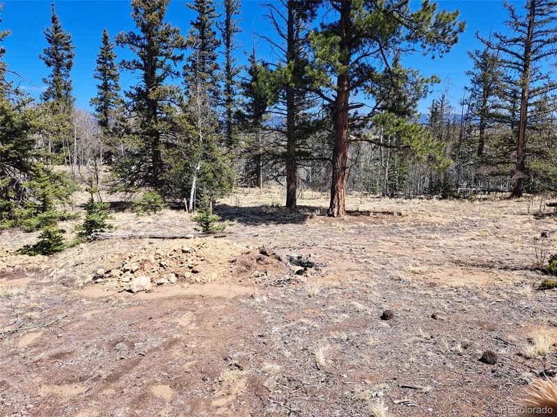 730 Tepee Trl, Como, CO 80432