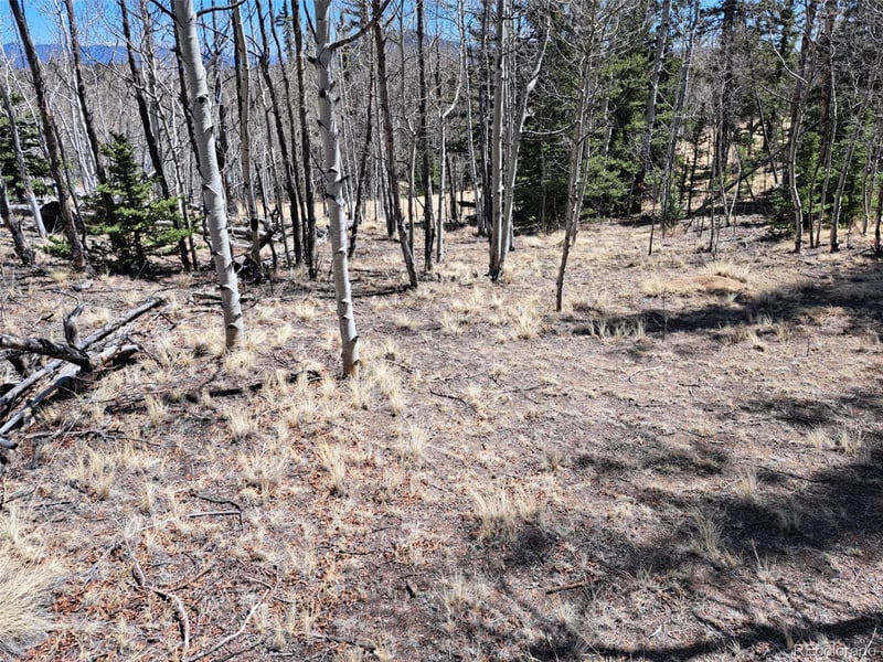 730 Tepee Trl, Como, CO 80432