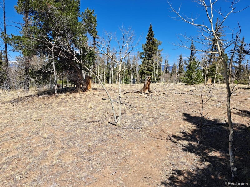 782 Tepee Trl, Como, CO 80432