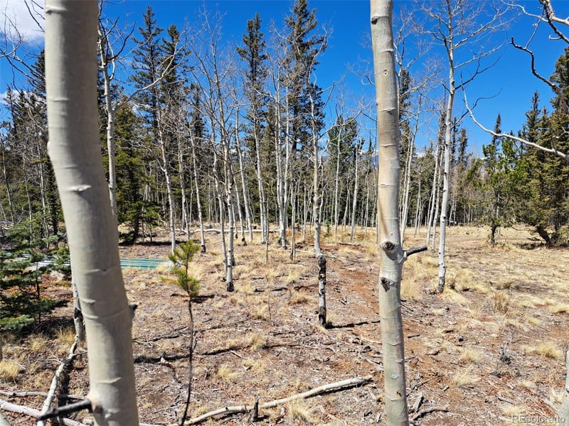 782 Tepee Trl, Como, CO 80432