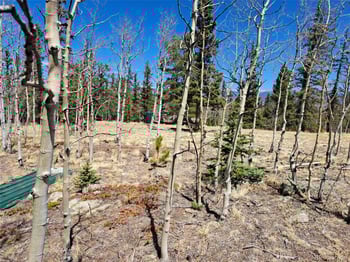 782 Tepee Trl, Como, CO 80432