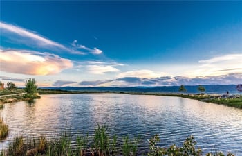 10655 Pine Chase Ct, Highlands Ranch, CO 80126