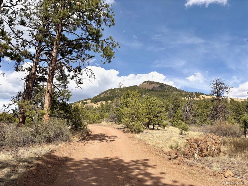 2121 Cr 1 , Florissant, CO 80816