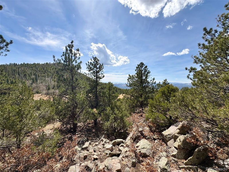 2121 Cr 1 , Florissant, CO 80816