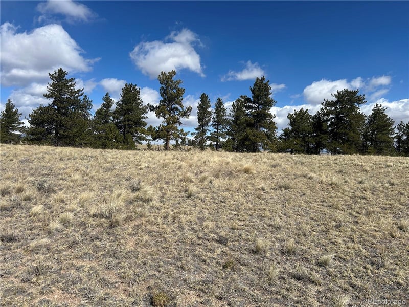 517 Brahma Cir, Hartsel, CO 80449