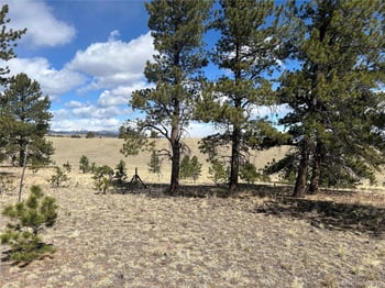 517 Brahma Cir, Hartsel, CO 80449