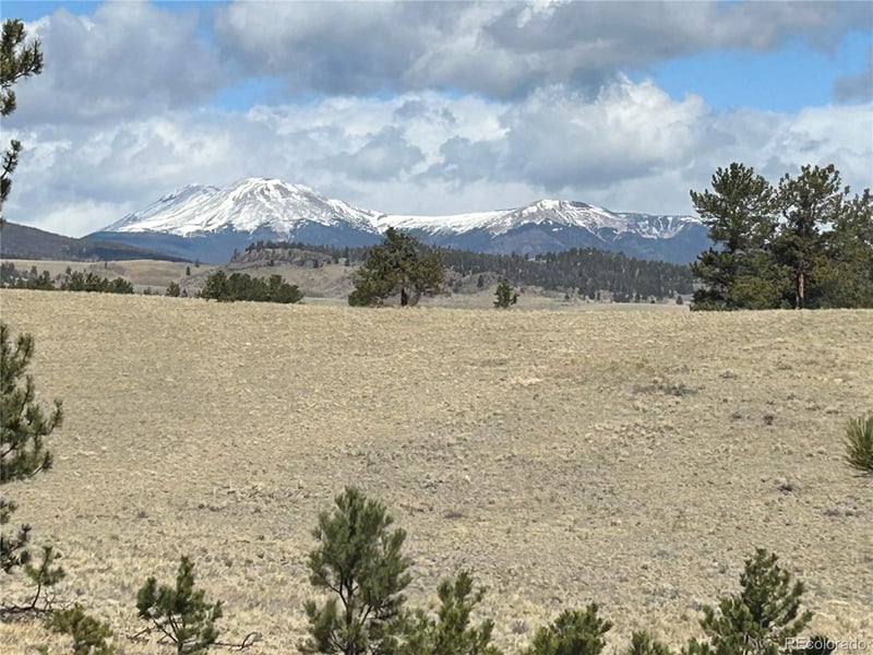 517 Brahma Cir, Hartsel, CO 80449