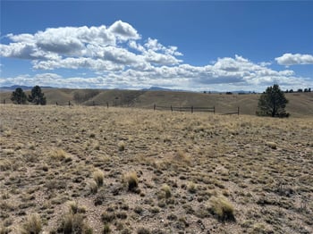 517 Brahma Cir, Hartsel, CO 80449