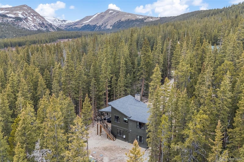 180 Pine Cone Way, Fairplay, CO 80440