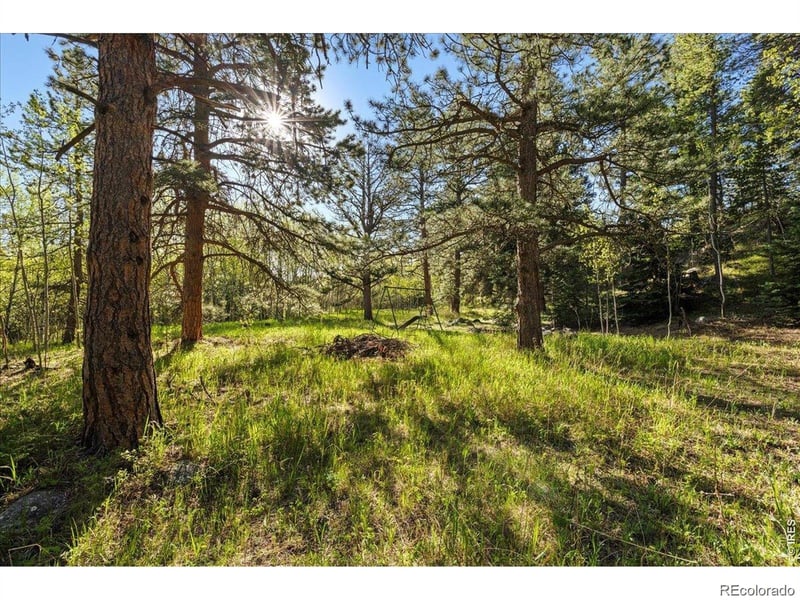 105 Caribou St, Nederland, CO 80466