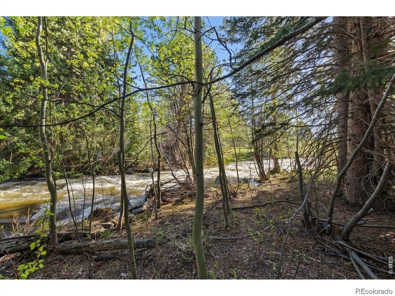 105 Caribou St, Nederland, CO 80466